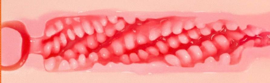 【神器社测评——新年特供版】KAGUYANO奇奇腿模半身——萝莉形半身，通道方面意外的好玩