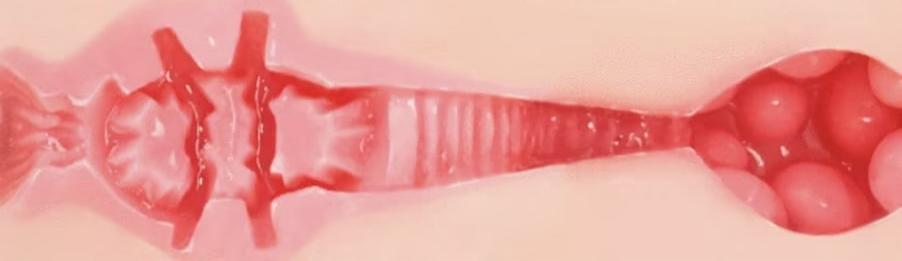 【神器社测评——新年特供版】KAGUYANO奇奇腿模半身——萝莉形半身，通道方面意外的好玩