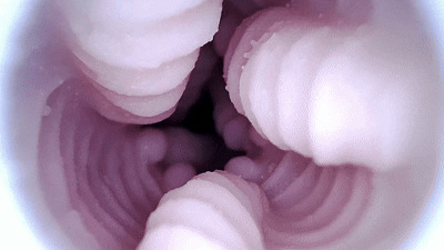 【神器社测评】GXP甜品侍应生——硅胶大杯，底部仿真空腔热情亲吻