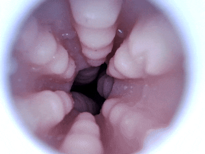 【神器社测评】GXP甜品侍应生——硅胶大杯，底部仿真空腔热情亲吻