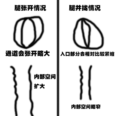 【杯芝士】关于杯子的使用姿势（是姿势不是知识.jpg）