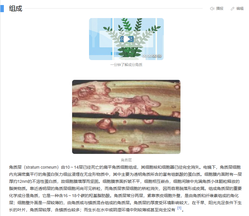 【杯芝士】为啥我觉得这个杯子很刺激而你不这么觉得——关于敏感度这一块的芝士科普