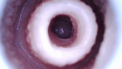 【神器社测评】GXP甜品侍应生——硅胶大杯，底部仿真空腔热情亲吻