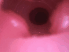 【神器社测评】Tamatoys骑乘之臀——轻重量小臀,特化了“骑乘”却把其他姿势给“优化”了