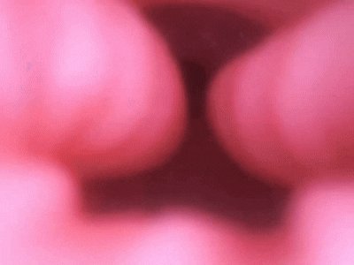 【神器社测评】Tamatoys骑乘之臀——轻重量小臀,特化了“骑乘”却把其他姿势给“优化”了