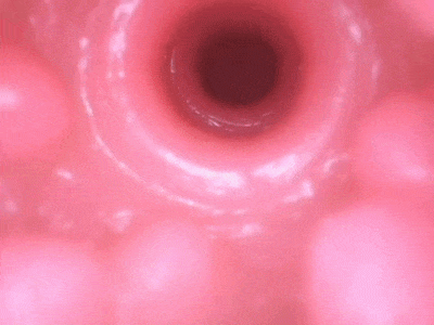 【神器社测评】Tamatoys骑乘之臀——轻重量小臀,特化了“骑乘”却把其他姿势给“优化”了