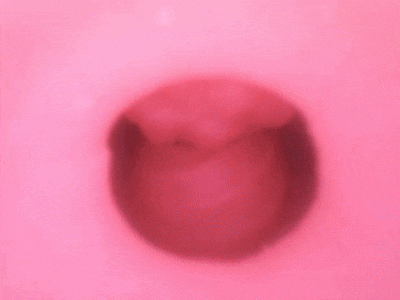 【神器社测评】Tamatoys骑乘之臀——轻重量小臀,特化了“骑乘”却把其他姿势给“优化”了