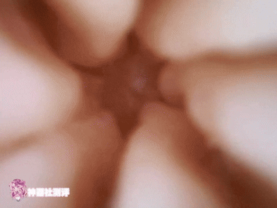 【神器社测评】TAMATOYS兽魂战队司令官 桜間千咲——不是你这个通道设计的可以再敷衍一点吗？