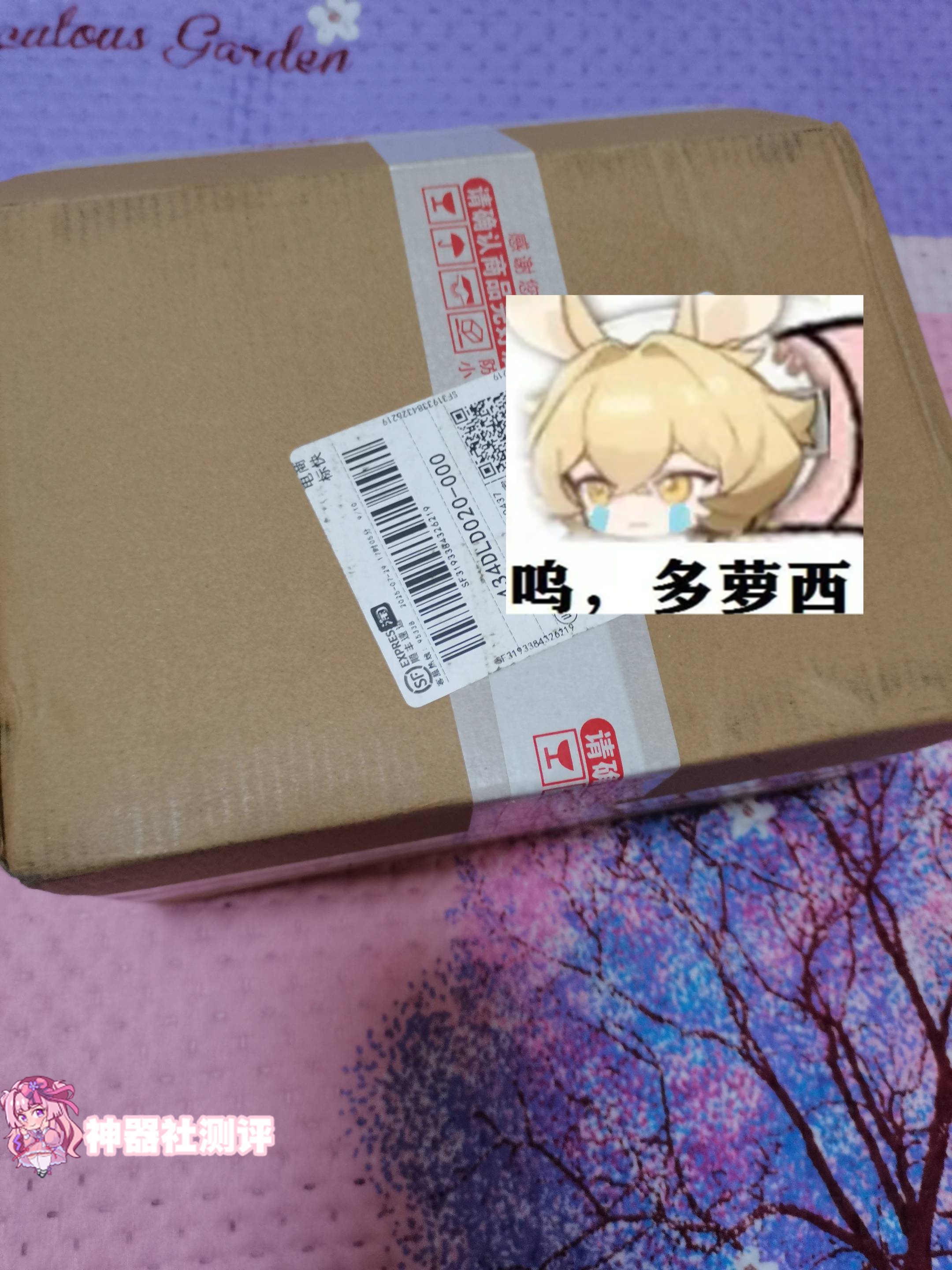 【真实反馈】GXP白丝壁女2代（软）的体验报告！