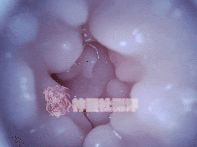 【神器社测评】DREAM EDGE白石桃——带着大蜜桃的胶体,相比较以前刺激感有所上升