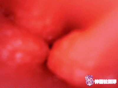 【神器社测评】EVO见习天使 星月铃——这些年难得算是做的比较用心的联动杯，强力底部颗粒真给我玩爽了