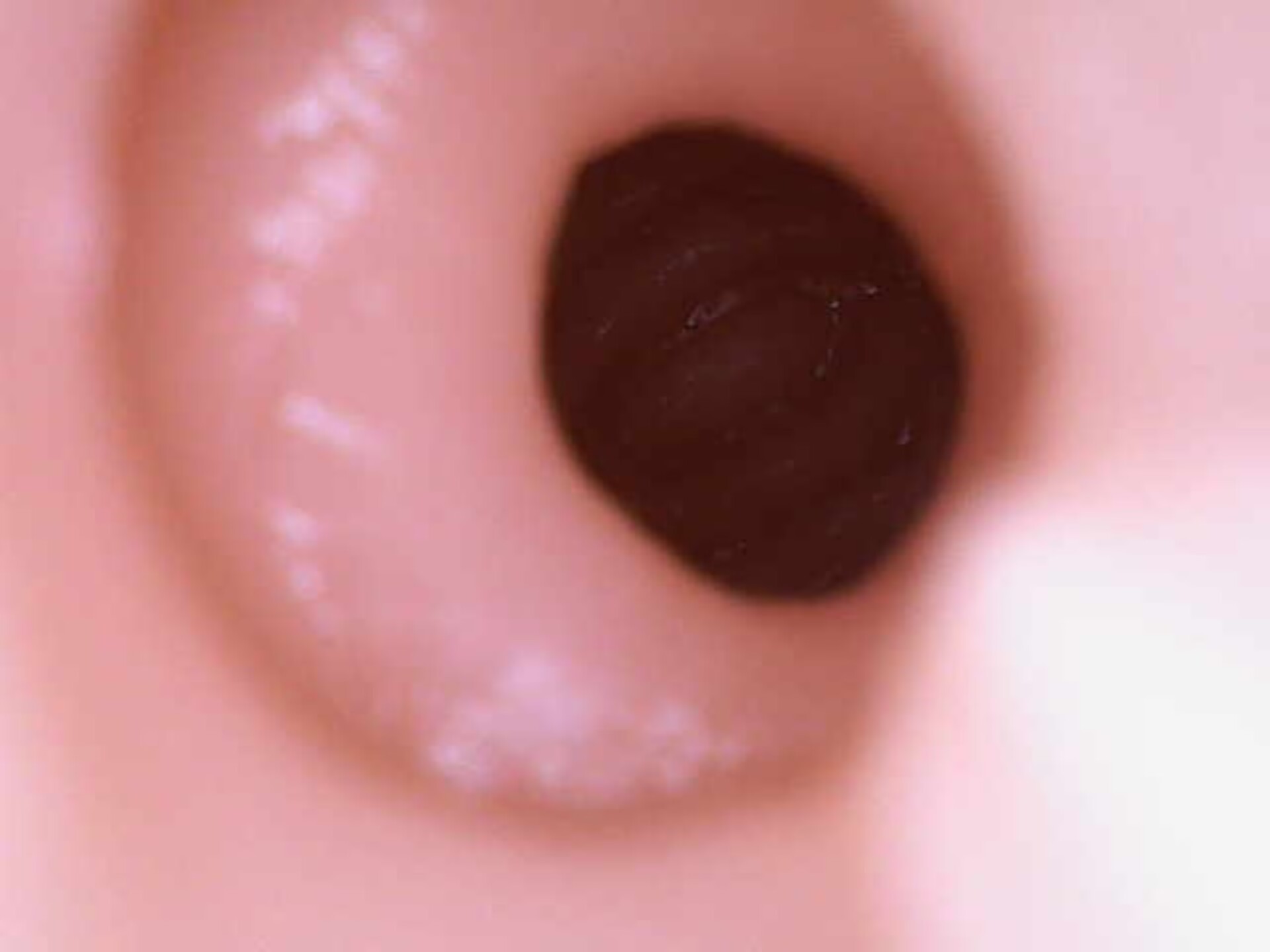 【神器社测评】对子哈特R20四代(soft)——用个“管子”来0721这一块,夸张空腔肉纹+极致包裹爽滑榨取!