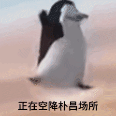 【杯芝士】肾虚有时是在过度炉管之后——关于鹿后调理的几点科普