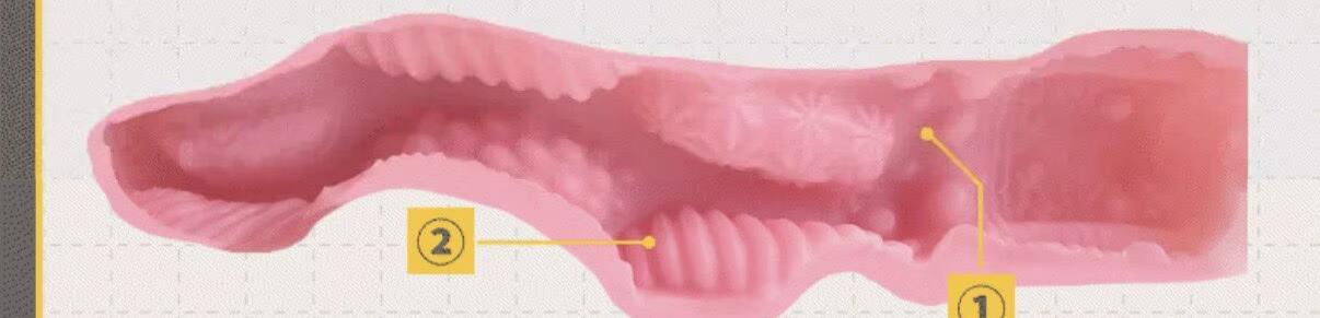 【群友投稿测评】KAGUYANO奶昔乳——机娘的巨大欧派，盛夏时传来的清爽和治愈