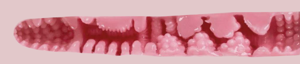 【神器社测评】KAGUYANO鸦川凛——战术少女的绝密空腔埋伏,战术训练后羞涩的少女最棒了