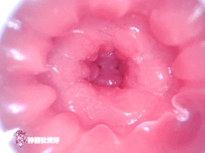 【神器社测评】GXP SG研究社二代（电动）——十档吮吸5档震，我一大调查插下去不得给学妹整“高潮”啊