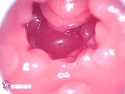 【神器社测评】GXP SG研究社二代（电动）——十档吮吸5档震，我一大调查插下去不得给学妹整“高潮”啊