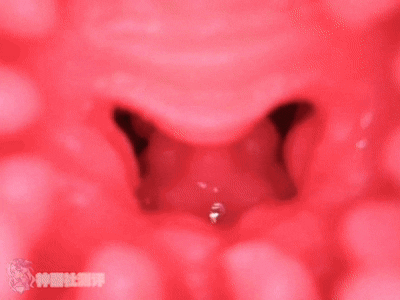 【神器社测评】KAGUYANO鸦川凛——战术少女的绝密空腔埋伏,战术训练后羞涩的少女最棒了