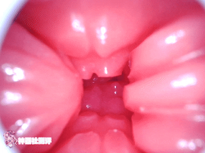 【神器社测评】GXP SG研究社二代（电动）——十档吮吸5档震，我一大调查插下去不得给学妹整“高潮”啊