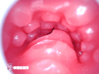 【神器社测评】GXP SG研究社二代（电动）——十档吮吸5档震，我一大调查插下去不得给学妹整“高潮”啊