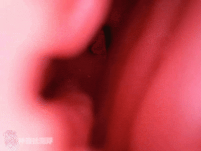 【神器社测评】KAGUYANO鸦川凛——战术少女的绝密空腔埋伏,战术训练后羞涩的少女最棒了