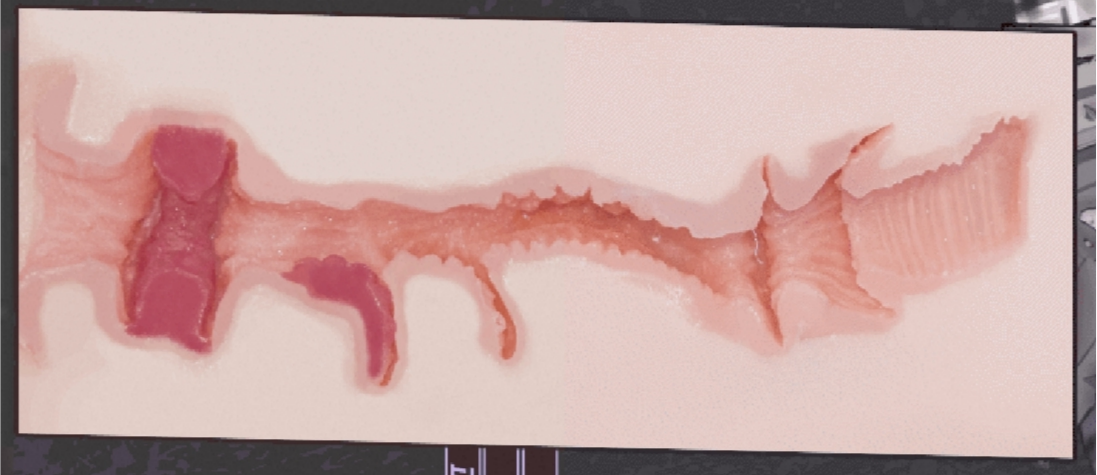 【群友投稿测评】KAGUYANO水野莉莉——春日午后的甜蜜邂逅，紧致的包裹感仿佛情窦初开的纯洁少女，让人春心大发流连忘返口牙！