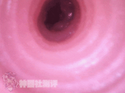 【神器社测评】LOVE FACTOR麻美优子一代——老资历臀模，浅尝初入职场的黑丝OL的巨臀