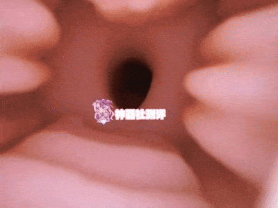 【神器社测评】对子哈特R20四代（soft）——用个“管子”来0721这一块，夸张空腔肉纹+极致包裹爽滑榨取！