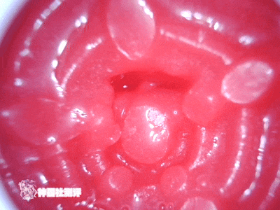 【神器社测评】GXP SG研究社二代（电动）——十档吮吸5档震，我一大调查插下去不得给学妹整“高潮”啊