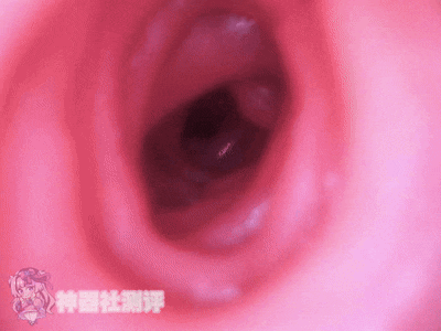 【神器社测评】LOVE FACTOR麻美优子一代——老资历臀模，浅尝初入职场的黑丝OL的巨臀