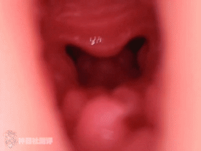 【神器社测评】KAGUYANO鸦川凛——战术少女的绝密空腔埋伏,战术训练后羞涩的少女最棒了