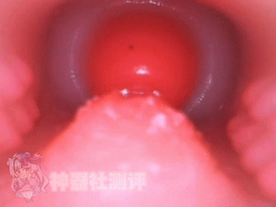 【神器社测评】LOVEFACTOR麻美优子二代——混迹职场多年的“安产形”上司，瑕不掩瑜的硬核大屁股