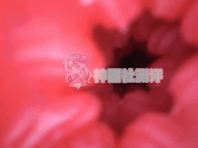 【神器社测评】LOVEFACTOR麻美优子二代——混迹职场多年的“安产形”上司，瑕不掩瑜的硬核大屁股