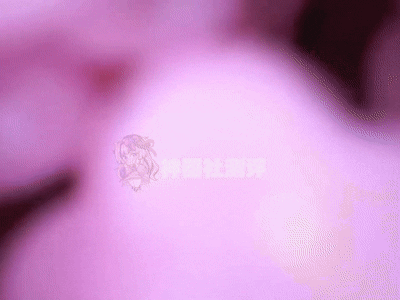 【神器社测评】Magic Eyes魔眼宫濑（蓬松螺旋球hard.ver）——长得有点“可爱”的粉色小杯，材质加硬后是否还是那个温柔的她
