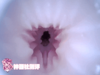 【神器社测评】DREAM EDGE 杏津杏半身——“I CUP”新人女优杏津杏的半身倒模，全软脂拟真欧派疯狂享受洗面奶