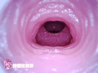 【神器社测评】AGI星·欲海王星——柔软Q弹的大白馒头欧派！星座娘里最起“星欲”的一集