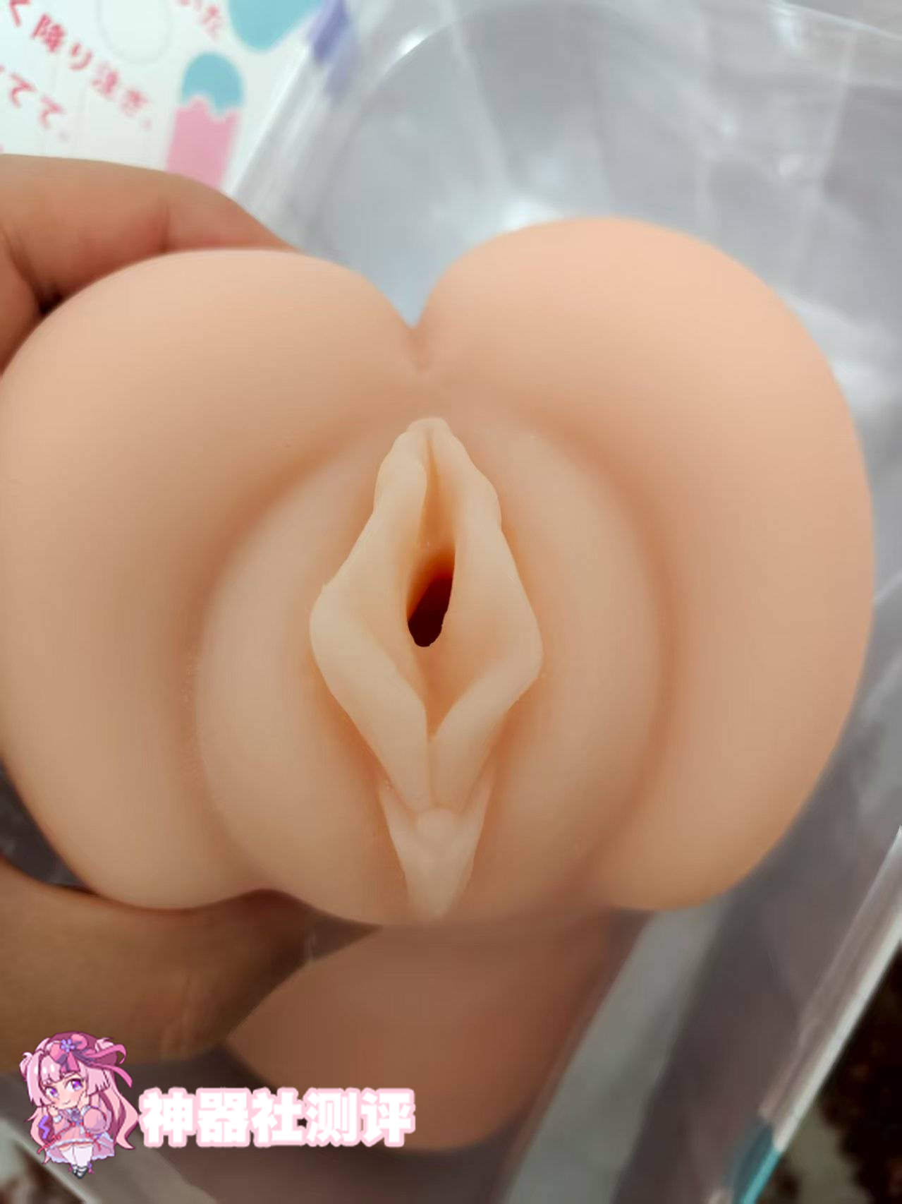 【真实反馈】GXP白丝壁女3代体验报告！