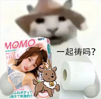 【真实反馈】杯姐小助理测评的白石桃真人报告!