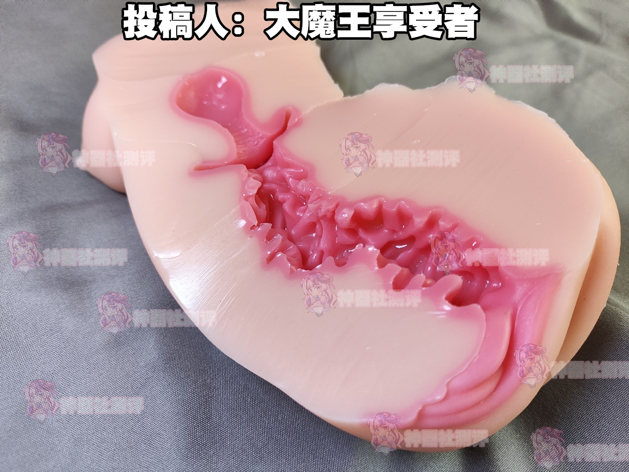 【群友投稿测评】GOSE忍道修炼——慢玩子宫杯，五脏俱全的新手向入坑首选
