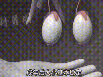 【神器社测评】COC黄油小姐枫棠2代臀模——外观非常狂野的软胶填充形小臀，偏实用的M开腿设计却把自己的通道给害了？