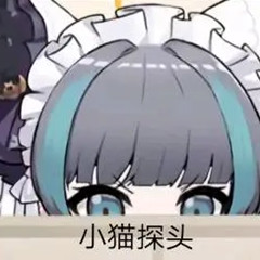 【群友投稿测评】OK女仆——广告漫天的智商税还是真正的新手之友