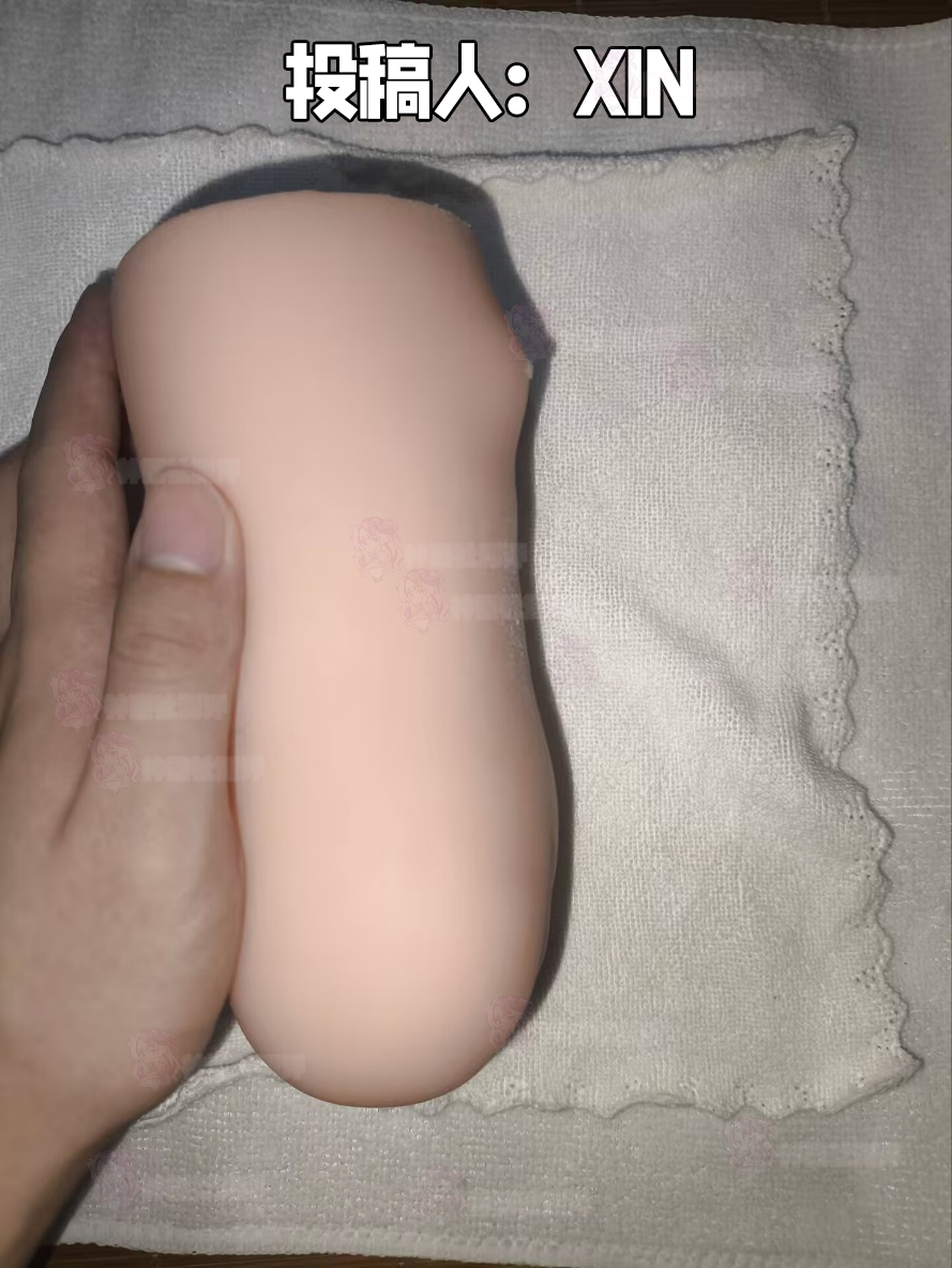 【群友投稿测评】OK女仆——广告漫天的智商税还是真正的新手之友