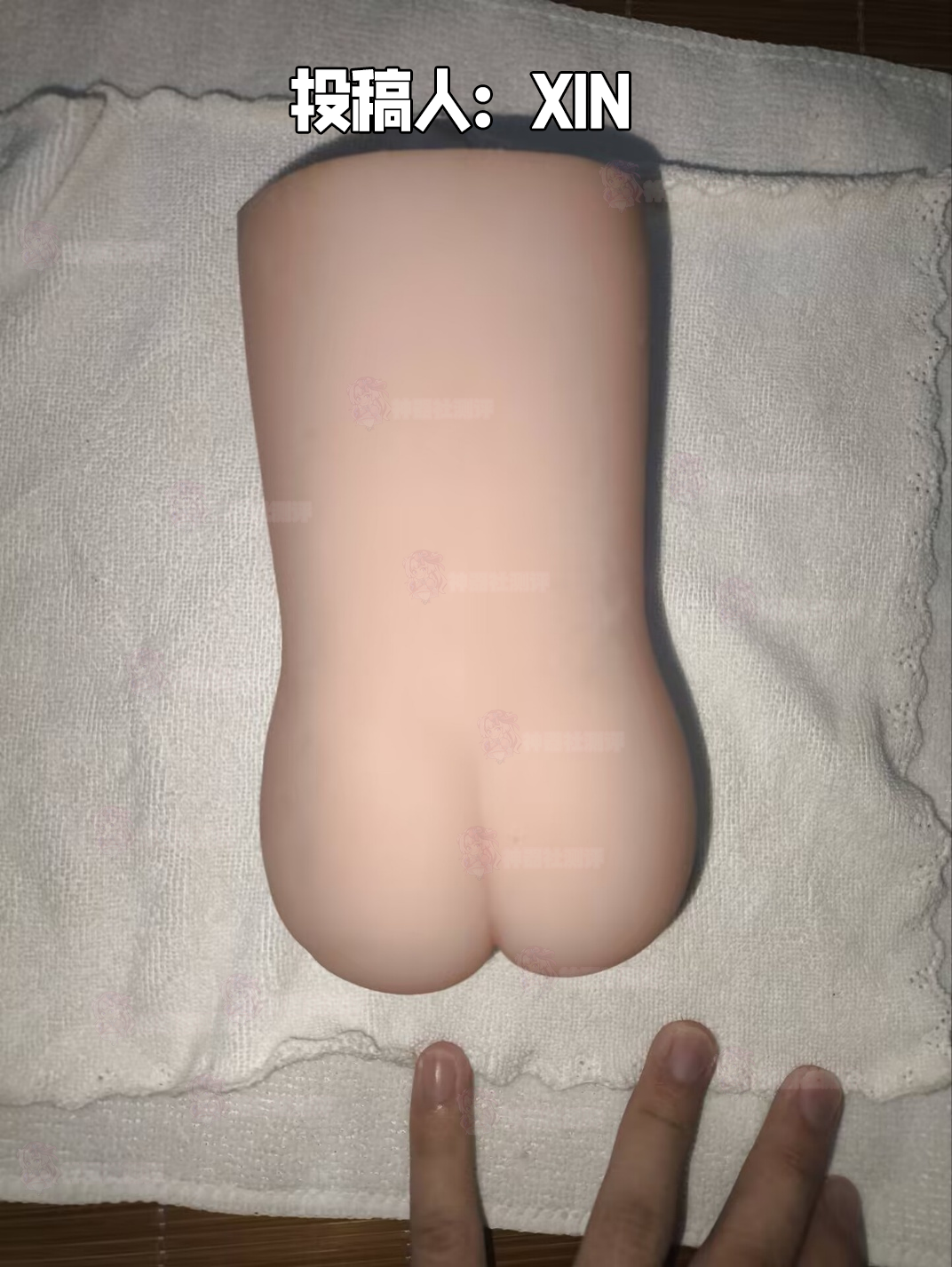 【群友投稿测评】OK女仆——广告漫天的智商税还是真正的新手之友
